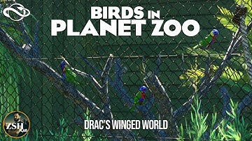 Birds In Planet Zoo! ¦ Drac
