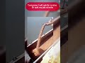 Sky-High Rebels: Who Needs OSHA When You're This Bold?#construction #constructionfails #funnyshorts
