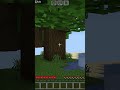 リスポーン設定忘れていた時の違い #ひかちゃんねる #マイクラ#shorts