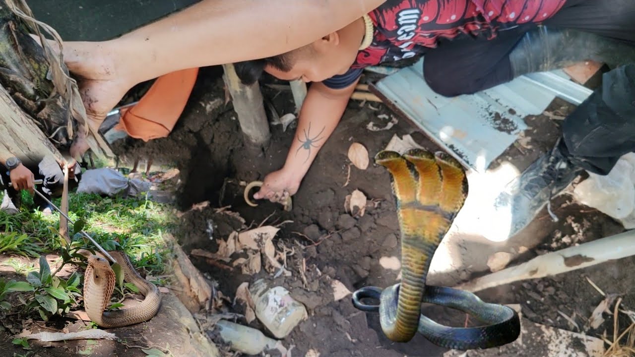 ELOYTURKZ MUNTIKAN NA  MATAKASAN #cristurkz #cobrateam