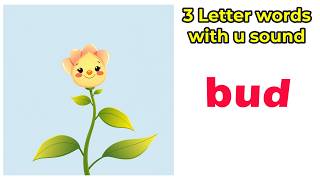 3 Letter Words Phonics for Kids | Learn to Read English | CVC Words & First Reading Practice