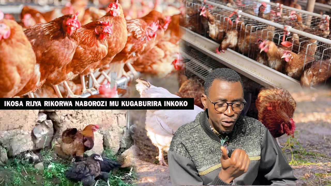 ICYO WAKORA MU BUHINZI N’UBWOROZI UFITE 500,000 FRW