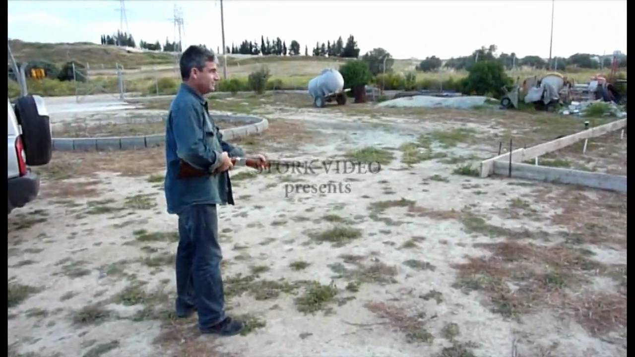 Cyprus Bird Hunting in HD. Κύπρος Ελλάδα κυνήγι όπλο Κύπρο YouTube