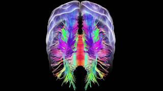 Rcsu Challenge Daniel Adeyemi