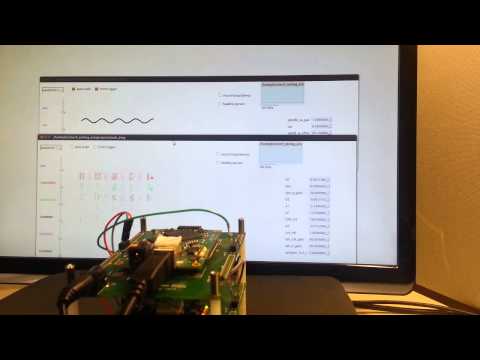 Motoneuron raster in FPGA