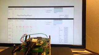 Motoneuron raster in FPGA