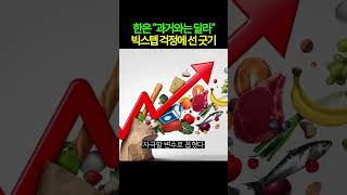 신현송 "과거와는 다른 상황"...빅스텝 걱정에 선 긋기(260617)