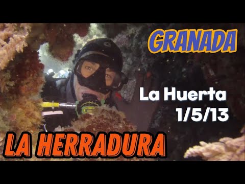 Mergulho em La Huerta: diversidade marinha no Maro-Cerro Gordo