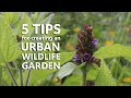 5 tips for creating an urban wildlife garden