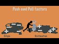Migration Dynamics Through Push And Pull Factors