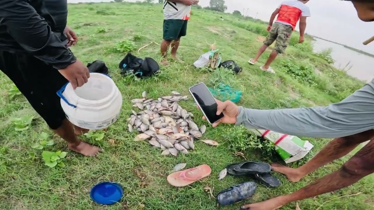 good Fishing used Cast net 🐠🐠 | ঝাকি জাল দিয়ে  অনেক মাছ পেলাম 