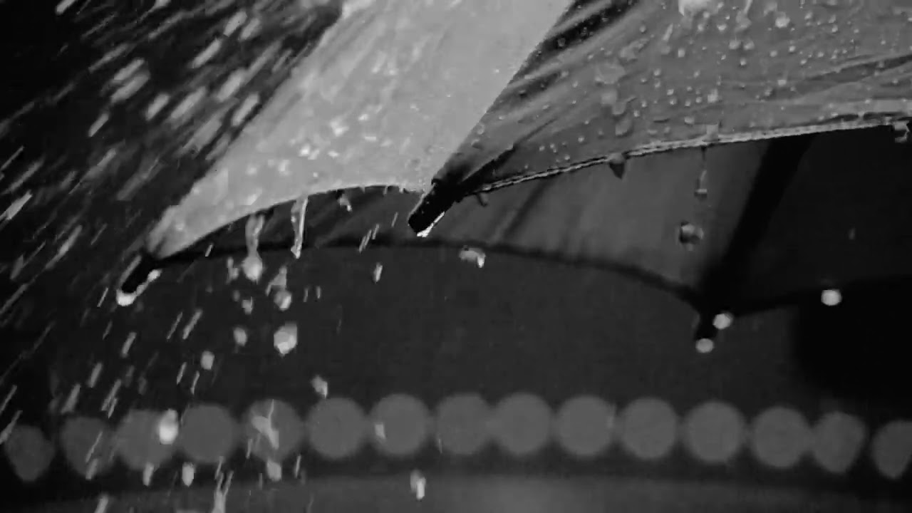 Heavy Rain On Umbrella 🌧️ Fall Asleep Fast & Stay Asleep All Night