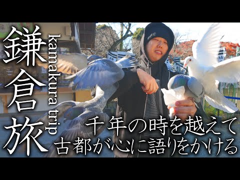 古都の息吹が現代の心を洗い流す⛩️神奈川県鎌倉日帰り旅🚲