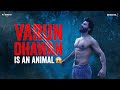 VARUN DHAWAN is an ANIMAL    BHEDIYA  Maddock Films
