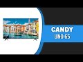 Телевизор Candy Uno 65