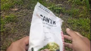 Pupuk Cantik untuk jeruk..