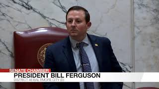 Senate Floor Session, 4/4/2025 #2