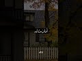 كان بيك زحام وصار سكون إلا الآلام عدت ليالي معانده فضينا السيره المراسلات Viralsong Fyp 