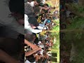 زائيري محمد فيصل رجه بهاء الدين توتي البرمجه الجديده مهرجان اولاد المربعات زائيري محمد فيصل رجه بهاء الدين توتي البرمجه الجديده مهرجان اولاد المربعات
