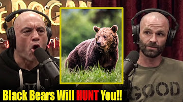 This Is Why ALL Bears Are Dangerous.. | Joe Rogan