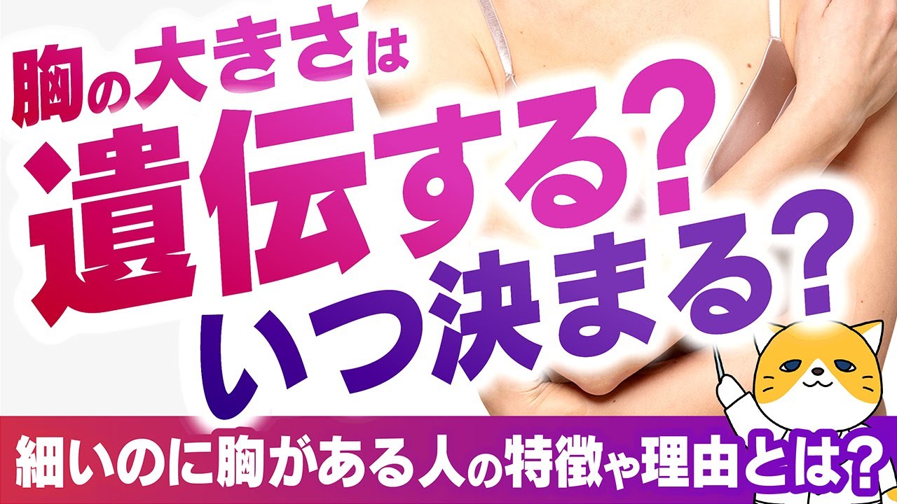 胸 の 大き さ 遺伝