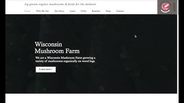 Wix Strip Video Issue - Not Playing Video