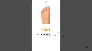 “Learn English in 10 seconds!  FOOT”