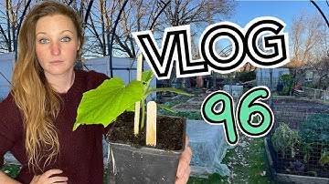 #96 Its time for Potatoes! We choose our Varieties and Potting Up Cucumbers || Plot 37