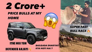 2 crore   price bulls at my home | bailgada shariyat kya hoti hai ? | Itne mai toh defender aajati