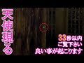 ⚠️神様、白龍大神様、天使様が現れる奇跡の映像。お姿が見えたら次々と良い事が起こり始めます。もし逃したら二度とありません|大分鶴見岳遠隔参拝201