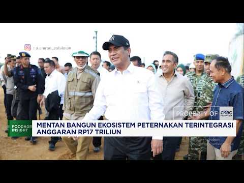 Mentan Bangun Ekosistem Peternakan Terintegrasi, Anggaran Rp17 T