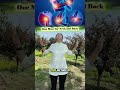 Just one simple move may help trainthe neck, shoulders, and back whileSUpporting beterelaxątion