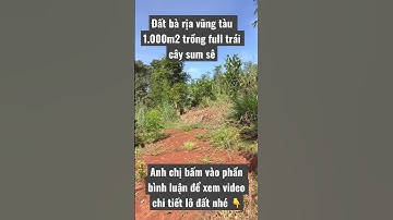 Chị Hương kẹt tiền cần bán gấp đất vườn 1.000m2 trồng trái cây sum sê ở châu đức bà rịa vũng tàu