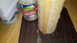 My Favorite Pet Safe Floor Cleaner!😻