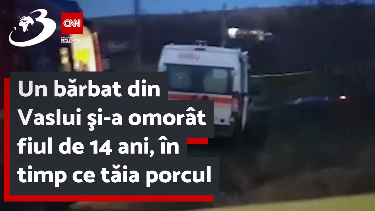 Un bărbat din Vaslui şi-a omorât fiul de 14 ani, în timp ce tăia porcul
