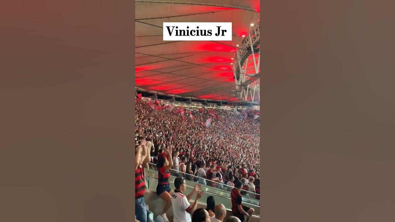 Flamengo Fans Chanting Vinicius Jr Name to Support Him on Racist Abuse