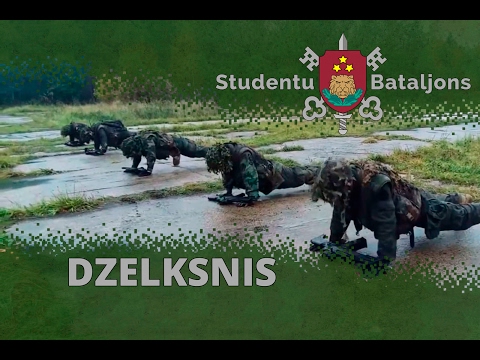 Dzelksnis - Zemessardzes Studentu Bataljons