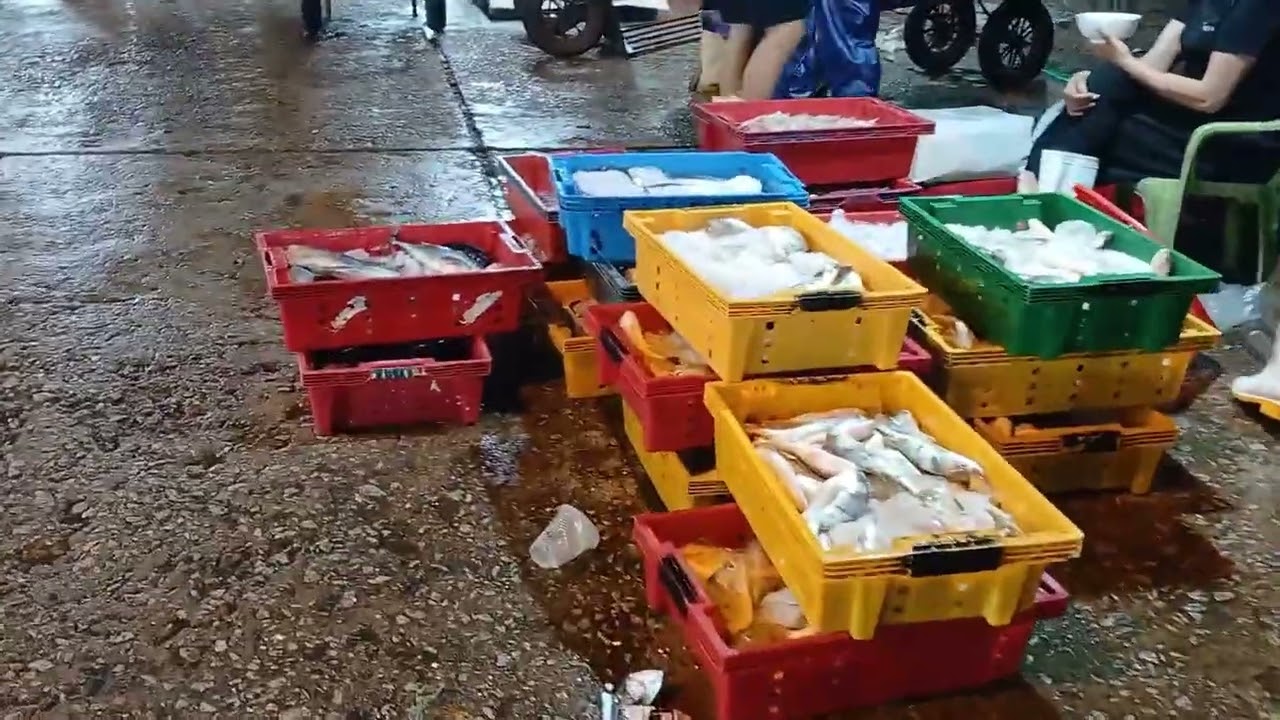 Chợ Đầu Mối ở Huế ( khu vực bán cá)