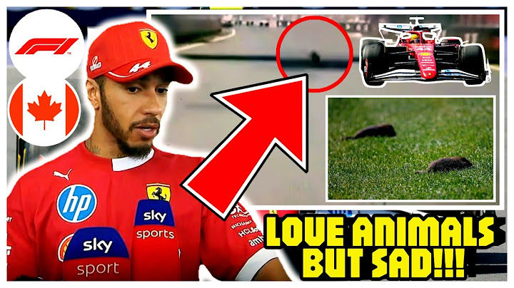 Lewis Hamilton devastated after hitting groundhog at 100mph in F1Canadian Grand Prix damage his car