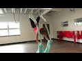 Aerial Yoga At Gravity Fitness And Tennis. Call (208) 788-7669