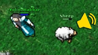 Tibia agora tem SOM... é sério.