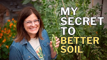 FAVA BEAN GROWING GUIDE: Grow for Food and Better Soil