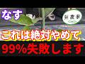 【なす】皆さんは気を付けて。これをやってしまうと99％うまく育ちません。【家庭菜園】