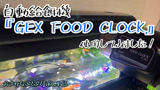 自動給餌機『GEX FOOD CLOCK』を購入したので開封＆使用してみました！【熱帯魚】【アクアリウム】@osakana_bukubuku