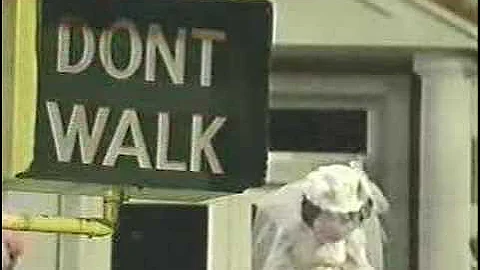 Classic Sesame Street - The Sign Says "Don't Walk"