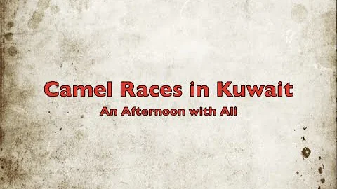 Camel Races in Kuwait: An Afternoon with Ali