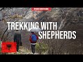 Trekking With Shepherds 🇦🇱 | Albania's Accursed Mountains