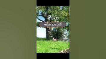 تلاوة جميلة للقارئ / حمد الدغريري