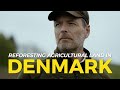 Denmark reforestation skovdyrkerne  one tree planted