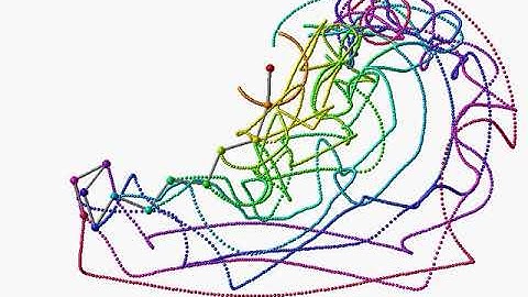 Duodecuple (12) pendulum starting from vertical position / simulation / chaos